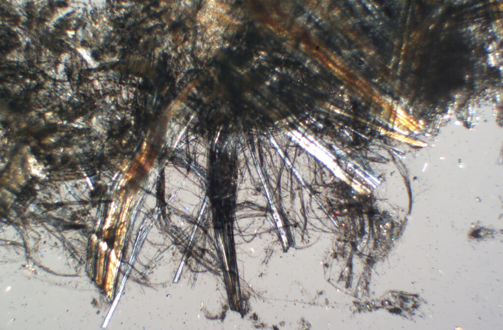 Photomicrograph of a cluster of asbestiform chrysotile fibres intermixed with other various minerals.