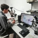 Specialist technician looking through microscope for petrographic analysis